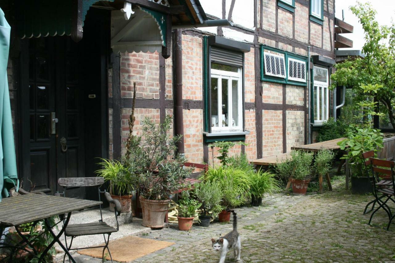 Veltheim Apartments Cafe Brennnessel מראה חיצוני תמונה
